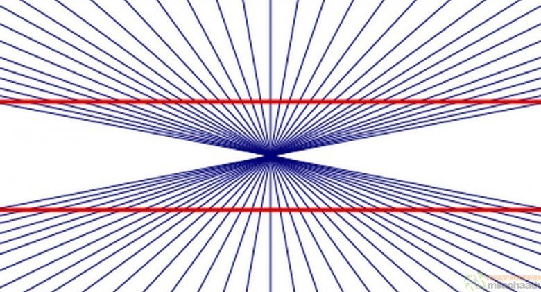 Optical Illusions That Will Make Your Brain Slide 18 bending lines hering illusion COURTESY LENSTORE - Milao Haath