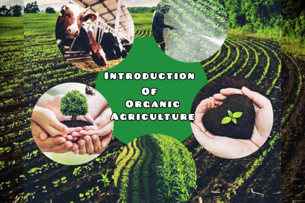 Introduction Of Organic Agriculture - Milao Haath