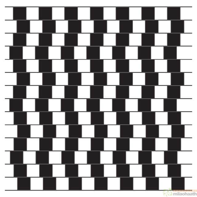 Optical Illusions That Will Make Your Brain Hurt Cafe Wall illusion Barsukov Vladimir -Milao Haath