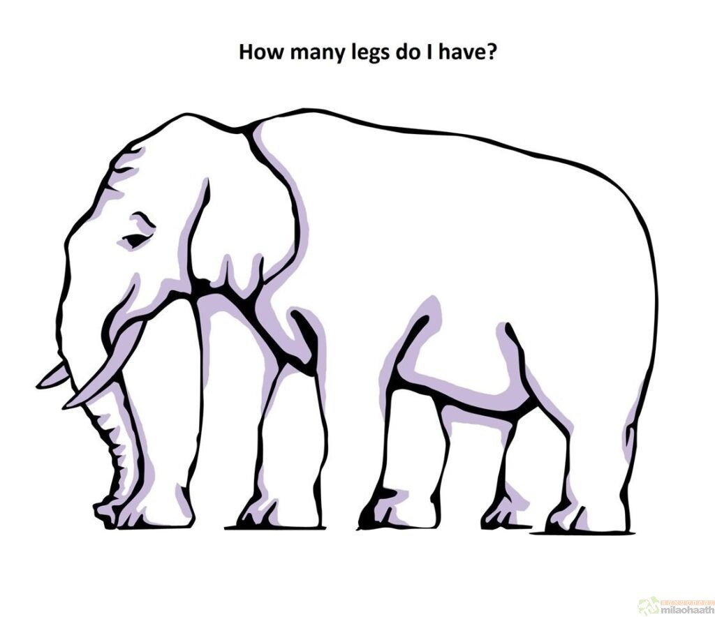 Optical Illusions That Will Make Your Brain Hurt Elephant Optical Illusion - Milao Haath