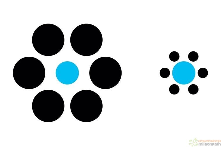 Optical Illusions That Will Make Your Brain Hurt Large and small Peter Hermes Furian-Milao Haath