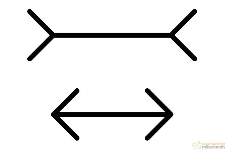 Optical Illusions That Will Make Your Brain Hurt Peter Hermes Furian-Milao Haath