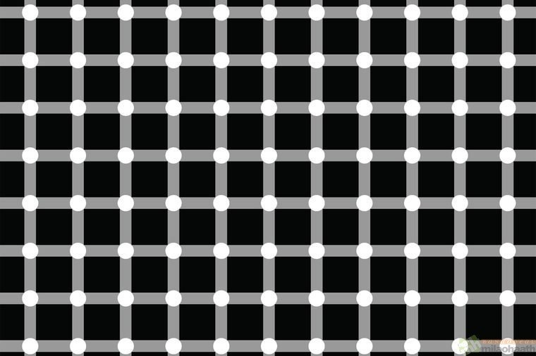 Optical Illusions That Will Make Your Brain Hurt Scintillating grid illusion-Milao Haath