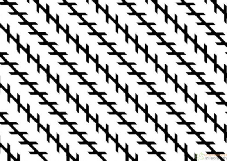 Optical Illusions That Will Make Your Brain Hurt Zöllner illusion -Milao Haath