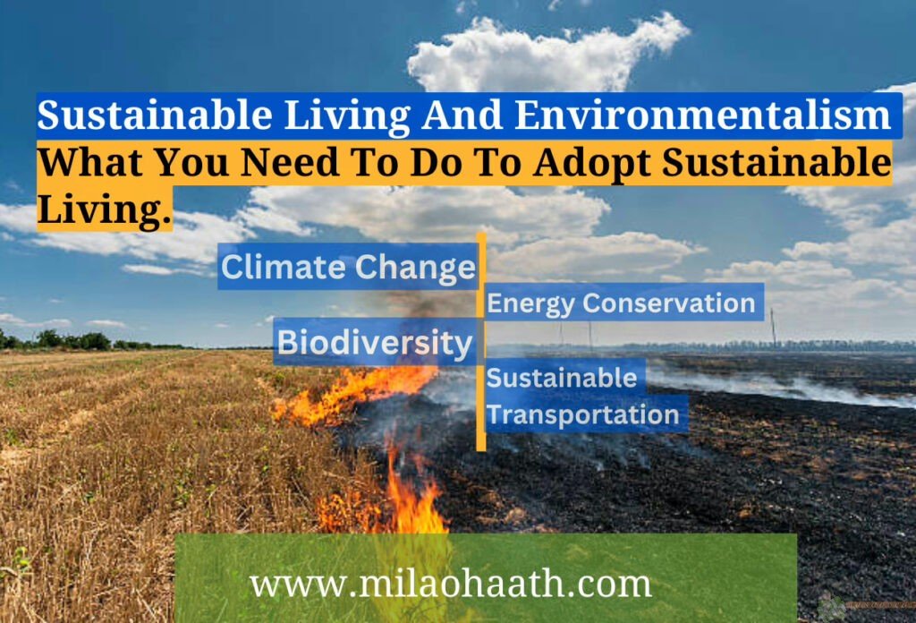 Sustainable Living and Environmentalism UK -Biodiversity - Milao Haath