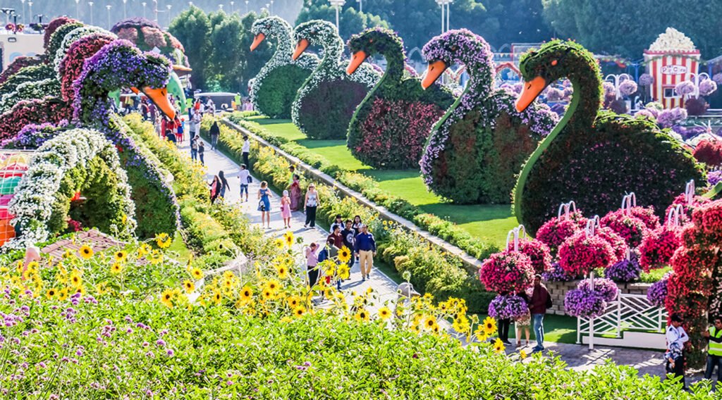 Dubai Miracle Garden
