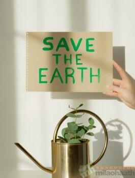 Save Earth