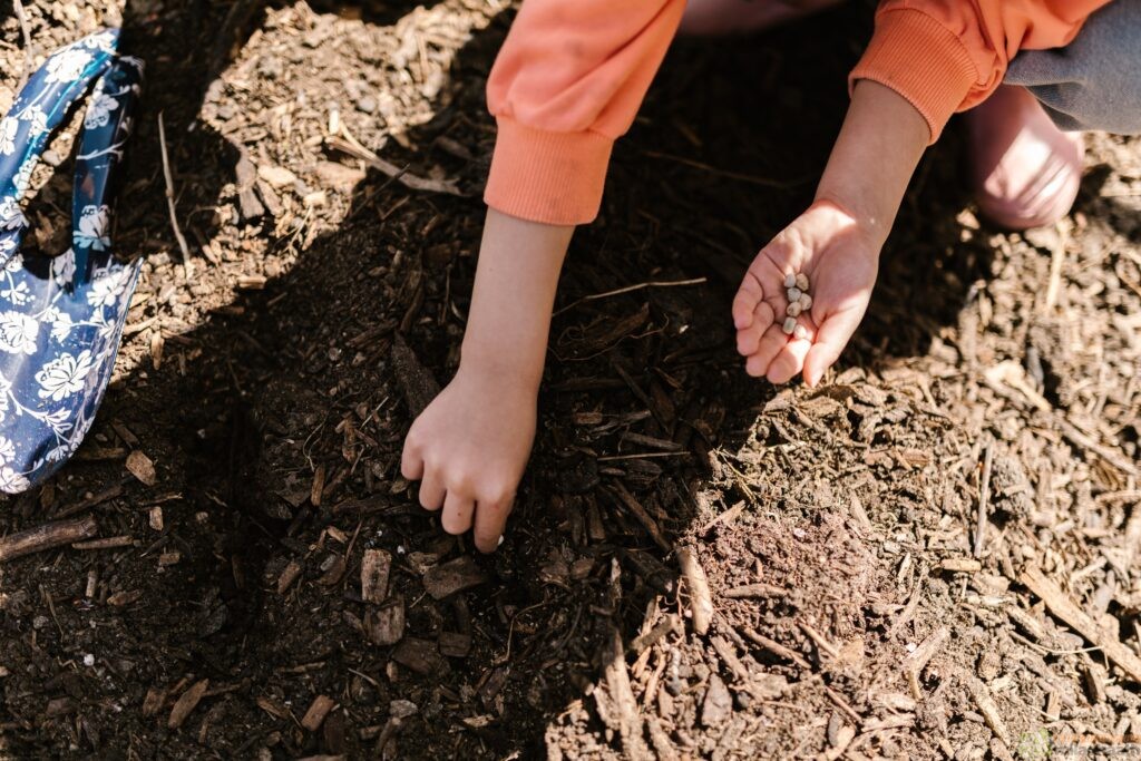 Girl Gardening