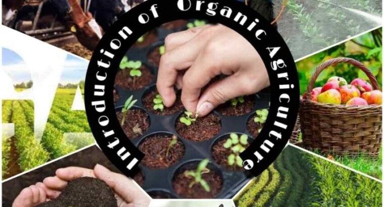 Introduction Of Organic Agriculture